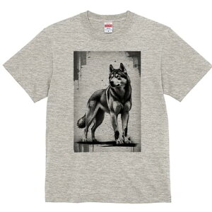 nXL[ TVc  j[NfUCfB[X t@  t vg lJWA 킢 lԗp Mtg I ҏ΍ nXL[