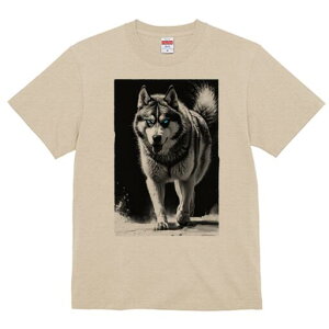 nXL[ TVc  j[NfUCfB[X t@  t vg lJWA 킢 lԗp Mtg I ҏ΍ nXL[