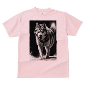 nXL[ TVc  j[NfUCfB[X t@  t vg lJWA 킢 lԗp Mtg I ҏ΍ nXL[