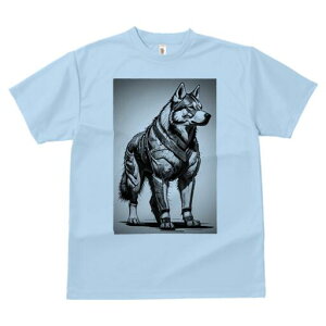 nXL[ TVc  j[NfUCfB[X t@  t vg lJWA 킢 lԗp Mtg I ҏ΍ Z nXL[ m t@^W[