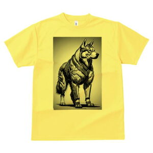 nXL[ TVc  j[NfUCfB[X t@  t vg lJWA 킢 lԗp Mtg I ҏ΍ Z nXL[ m t@^W[