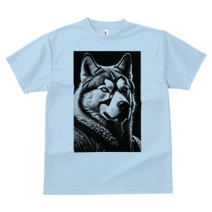 VxAnXL[ TVc  j[NfUCfB[X t@  t vg lJWA 킢 lԗp Mtg I ҏ΍ }XN VxAnXL[ A[g