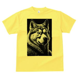 VxAnXL[ TVc  j[NfUCfB[X t@  t vg lJWA 킢 lԗp Mtg I ҏ΍ }XN VxAnXL[ A[g