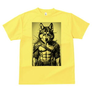 nXL[ TVc  j[NfUCfB[X t@  t vg lJWA 킢 lԗp Mtg I ҏ΍ m nXL[ Z ؓ AuXgNg