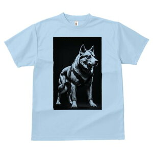 nXL[ TVc  j[NfUCfB[X t@  t vg lJWA 킢 lԗp Mtg I ҏ΍ nXL[