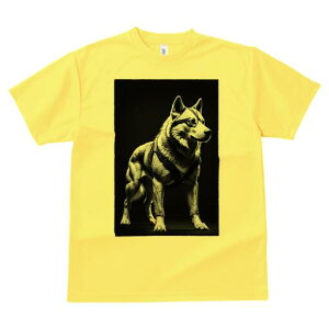 nXL[ TVc  j[NfUCfB[X t@  t vg lJWA 킢 lԗp Mtg I ҏ΍ nXL[