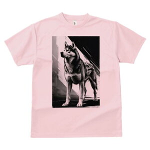 nXL[ TVc  j[NfUCfB[X t@  t vg lJWA 킢 lԗp Mtg I ҏ΍ nXL[