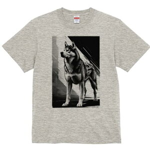 nXL[ TVc  j[NfUCfB[X t@  t vg lJWA 킢 lԗp Mtg I ҏ΍ nXL[