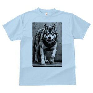 nXL[ TVc  j[NfUCfB[X t@  t vg lJWA 킢 lԗp Mtg I ҏ΍ nXL[