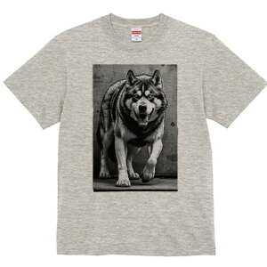 nXL[ TVc  j[NfUCfB[X t@  t vg lJWA 킢 lԗp Mtg I ҏ΍ nXL[