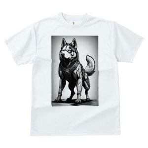 nXL[ TVc  j[NfUCfB[X t@  t vg lJWA 킢 lԗp Mtg I ҏ΍ TCo[ nXL[ {bg