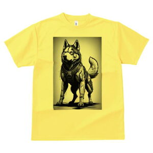 nXL[ TVc  j[NfUCfB[X t@  t vg lJWA 킢 lԗp Mtg I ҏ΍ TCo[ nXL[ {bg