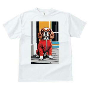 LoA TVc  j[NfUCfB[X t@  t vg lJWA 킢 lԗp Mtg I ҏ΍ WPbg LoA 