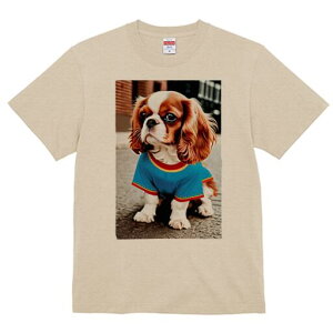 LoA TVc  j[NfUCfB[X t@  t vg lJWA 킢 lԗp Mtg I ҏ΍ TVc LoA 