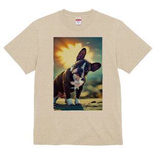 {XgeA TVc  j[NfUCfB[X t@  t vg lJWA 킢 lԗp Mtg I ҏ΍ wi {XgeA  z