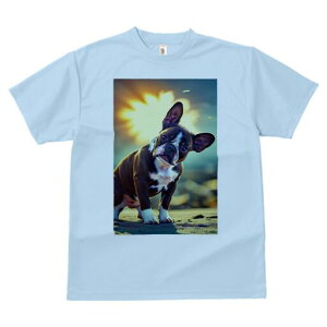 ボストンテリア Tシャツ 犬愛 ユニークデザインレディース 犬ファン 半袖 春夏 プリント 大人カジュアル かわいい 人間用 ギフト 個性的 猛暑対策 背景 ボストンテリア 光 太陽