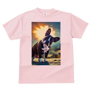 {XgeA TVc  j[NfUCfB[X t@  t vg lJWA 킢 lԗp Mtg I ҏ΍ wi {XgeA  z