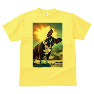 {XgeA TVc  j[NfUCfB[X t@  t vg lJWA 킢 lԗp Mtg I ҏ΍ wi {XgeA  z