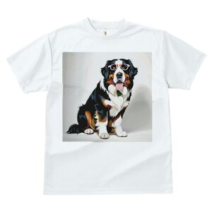 o[j[Y}EehbO TVc  j[NfUCfB[X t@  t vg lJWA 킢 lԗp Mtg I ҏ΍ Kl o[j[Y}Ee