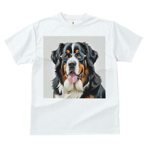 o[j[Y}EehbO TVc  j[NfUCfB[X t@  t vg lJWA 킢 lԗp Mtg I ҏ΍ Kl o[j[Y}Ee