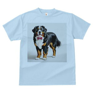 o[j[Y}EehbO TVc  j[NfUCfB[X t@  t vg lJWA 킢 lԗp Mtg I ҏ΍ Kl o[j[Y}Ee