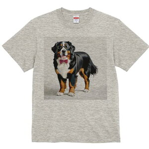 o[j[Y}EehbO TVc  j[NfUCfB[X t@  t vg lJWA 킢 lԗp Mtg I ҏ΍ Kl o[j[Y}Ee