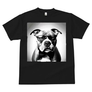 AJsbgueA TVc  j[NfUCY LbY t@  t vg lJWA 킢 lԗp Mtg I ҏ΍ Kl AJsbg