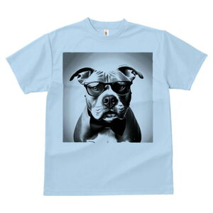 AJsbgueA TVc  j[NfUCfB[X t@  t vg lJWA 킢 lԗp Mtg I ҏ΍ Kl AJsbgu