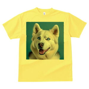 nXL[ TVc  j[NfUCfB[X t@  t vg lJWA 킢 lԗp Mtg I ҏ΍ nXL[