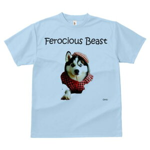 VxAnXL[ TVc  j[NfUCfB[X t@  t vg lJWA 킢 lԗp Mtg I ҏ΍ `FbN VxAnXL[ Xq 