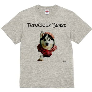 VxAnXL[ TVc  j[NfUCfB[X t@  t vg lJWA 킢 lԗp Mtg I ҏ΍ `FbN VxAnXL[ Xq 