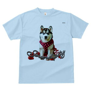 nXL[ TVc  j[NfUCfB[X t@  t vg lJWA 킢 lԗp Mtg I ҏ΍ nXL[