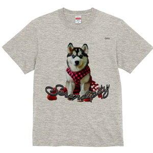 nXL[ TVc  j[NfUCfB[X t@  t vg lJWA 킢 lԗp Mtg I ҏ΍ nXL[