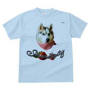 VxAnXL[ TVc  j[NfUCfB[X t@  t vg lJWA 킢 lԗp Mtg I ҏ΍  VxAnXL[ o_i