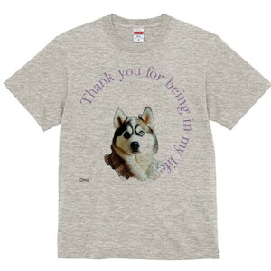 VxAnXL[ TVc  j[NfUCfB[X t@  t vg lJWA 킢 lԗp Mtg I ҏ΍ VxAnXL[