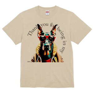 h[x} TVc  j[NfUCfB[X t@  t vg lJWA 킢 lԗp Mtg I ҏ΍ TOX h[x} WPbg