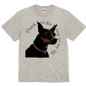 h[x} TVc  j[NfUCfB[X t@  t vg lJWA 킢 lԗp Mtg I ҏ΍ TOX h[x} 