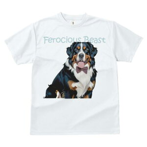 o[j[Y}EehbO TVc  j[NfUCfB[X t@  t vg lJWA 킢 lԗp Mtg I ҏ΍ lN^C o[j[Y}E