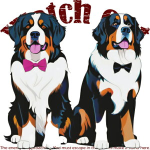 lN^C o[j[Y}EehbO NbVJo[ 45×45cm Aj}   NbV{̕t `