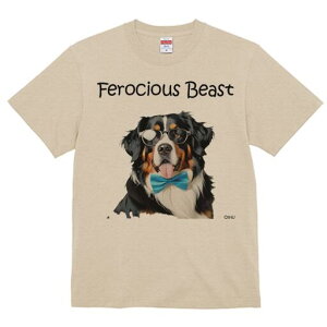 o[j[Y}EehbO TVc  j[NfUCY LbY t@  t vg lJWA 킢 lԗp Mtg I ҏ΍ Kl o[j[Y}E