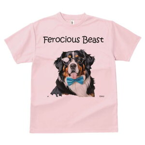 o[j[Y}EehbO TVc  j[NfUCY LbY t@  t vg lJWA 킢 lԗp Mtg I ҏ΍ Kl o[j[Y}E