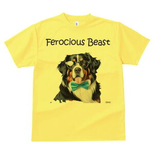 o[j[Y}EehbO TVc  j[NfUCfB[X t@  t vg lJWA 킢 lԗp Mtg I ҏ΍ Kl o[j[Y}Ee