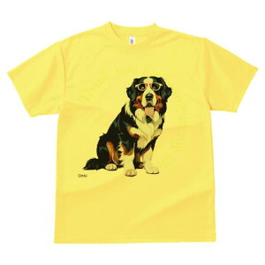 o[j[Y}EehbO TVc  j[NfUCfB[X t@  t vg lJWA 킢 lԗp Mtg I ҏ΍ Kl o[j[Y}Ee