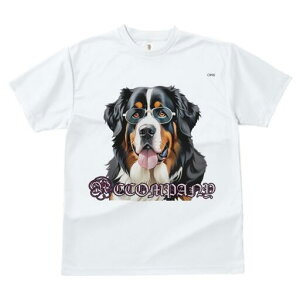 o[j[Y}EehbO TVc  j[NfUCY LbY t@  t vg lJWA 킢 lԗp Mtg I ҏ΍ Kl o[j[Y}E