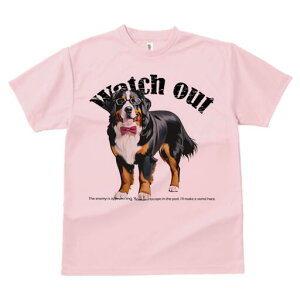 o[j[Y}EehbO TVc  j[NfUCY LbY t@  t vg lJWA 킢 lԗp Mtg I ҏ΍ Kl o[j[Y}E