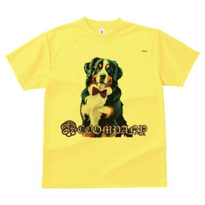 o[j[Y}EehbO TVc  j[NfUCfB[X t@  t vg lJWA 킢 lԗp Mtg I ҏ΍ lN^C o[j[Y}E