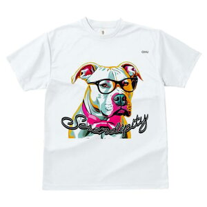 AJsbgueA TVc  j[NfUCY LbY t@  t vg lJWA 킢 lԗp Mtg I ҏ΍ Kl AJsbg