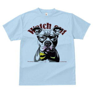 AJsbgueA TVc  j[NfUCfB[X t@  t vg lJWA 킢 lԗp Mtg I ҏ΍ Kl AJsbgu