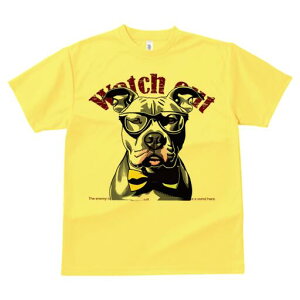 AJsbgueA TVc  j[NfUCY LbY t@  t vg lJWA 킢 lԗp Mtg I ҏ΍ Kl AJsbg