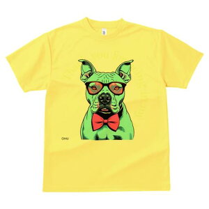 AJsbgueA TVc  j[NfUCY LbY t@  t vg lJWA 킢 lԗp Mtg I ҏ΍ Kl AJsbg